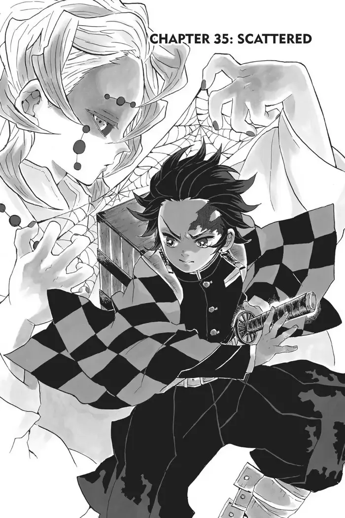 Demon Slayer Chapter 35 image 07_optimized